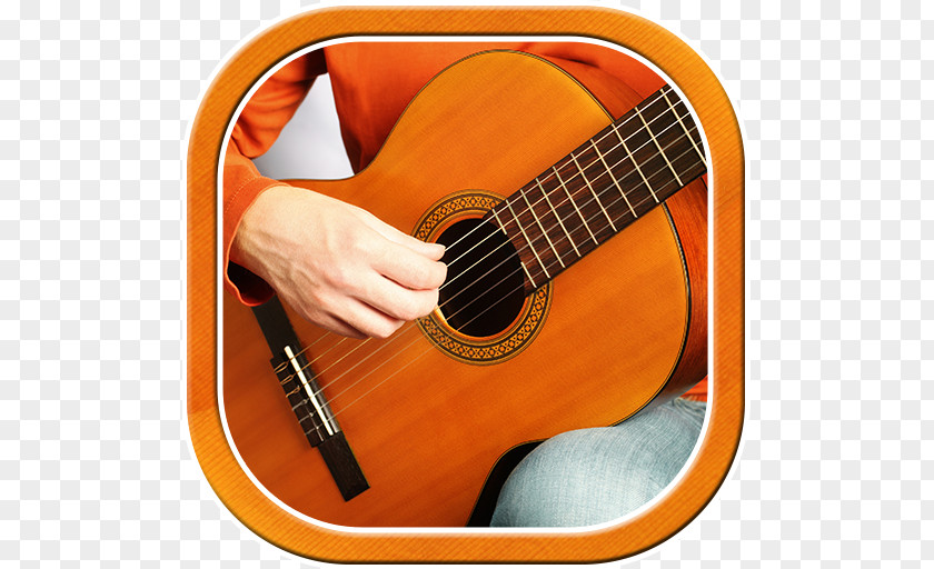 Acoustic Guitar Tiple Bass Cuatro PNG