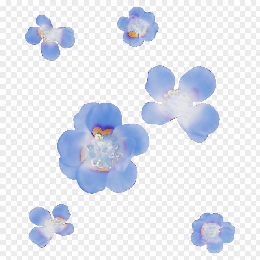 Borage Family Plant Blue Petal Flower PNG