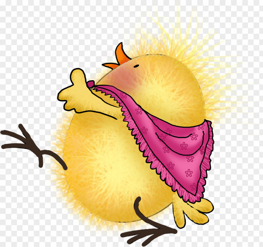 Chick Chicken Askartelu Drawing Clip Art PNG