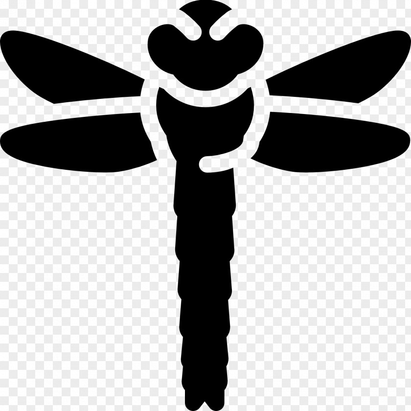 Dragon Fly Dragonfly Clip Art PNG