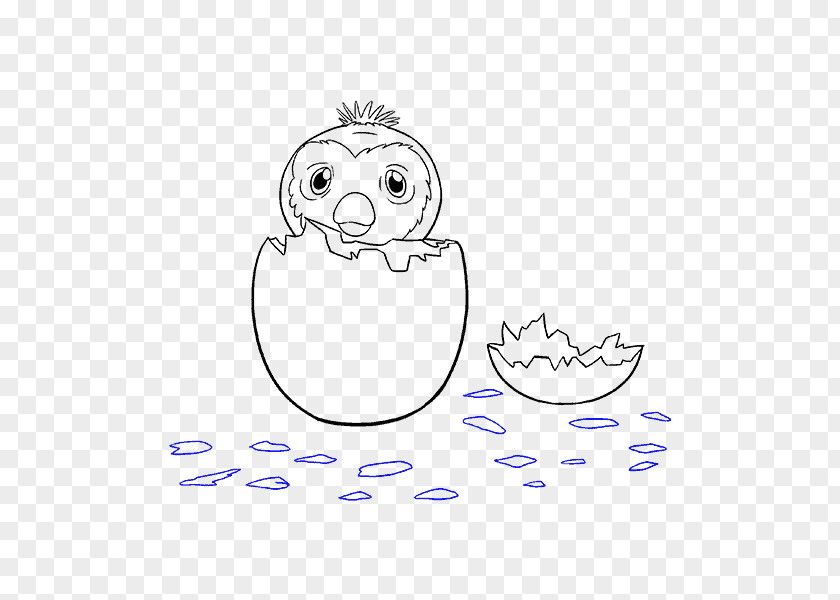 Egg Shell Halves Coloring Book Drawing Hatchimals PNG