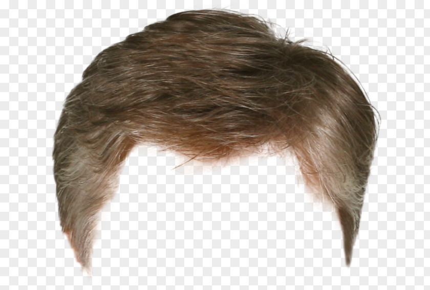 Hair Hairstyle Beard Wig PNG