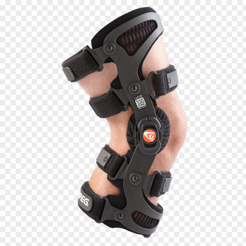 Knee Arthritis Osteoarthritis PNG