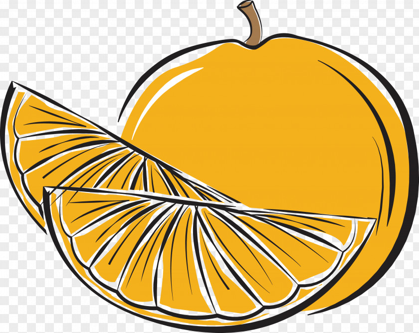 Pumpkin PNG