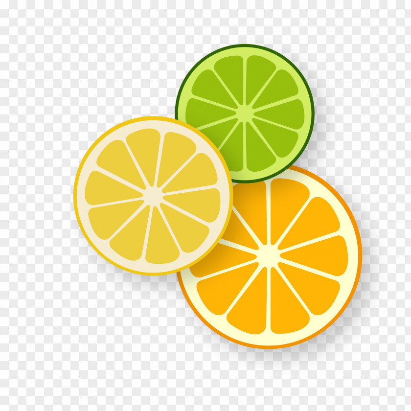 Take Vitamins Lemon Orange Image Fruit PNG