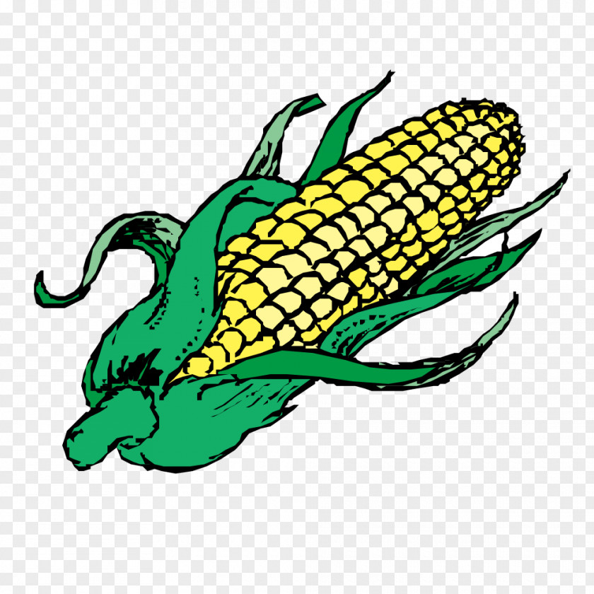 Vector Big Collection Of Vegetables Popcorn Corn On The Cob Pasta Guacamole Food PNG