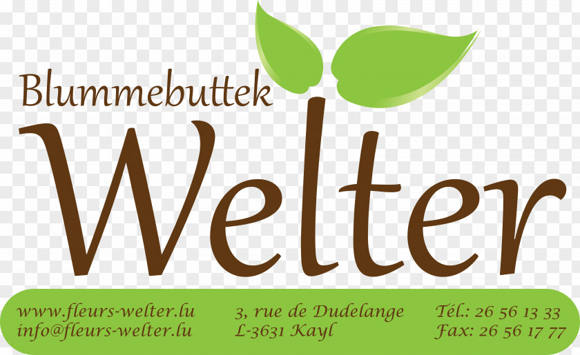 Welter Logo Brand Green Product Design PNG
