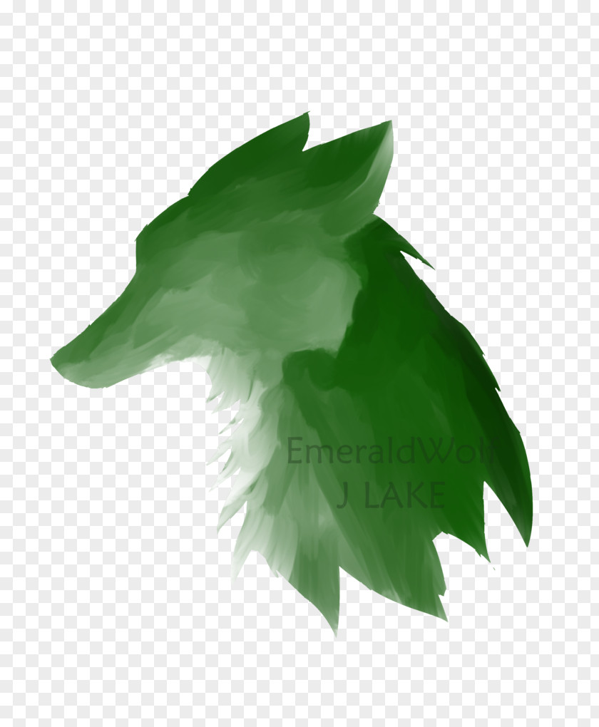 Emerald Gray Wolf Green Desktop Wallpaper PNG