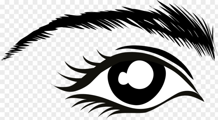 Eye Brow Eyebrow Color Clip Art PNG