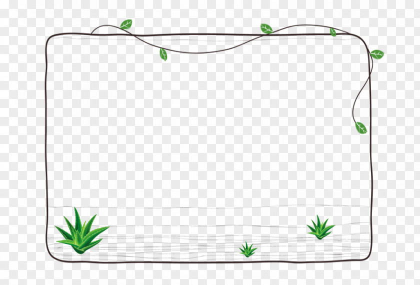 Floral Plant Borders Download Cartoon PNG