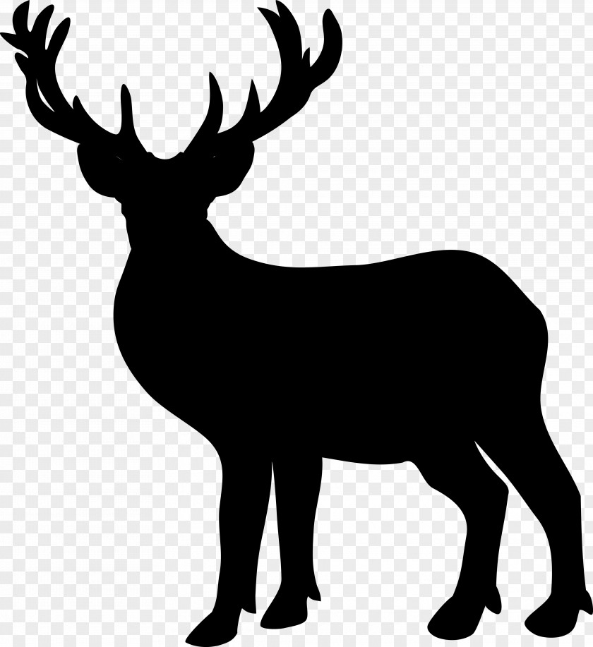 M The Woodlands Reindeer Wildlife Gladstone Black & White PNG