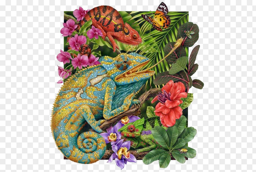Morning Glory Chameleon Cartoon Nature Background PNG