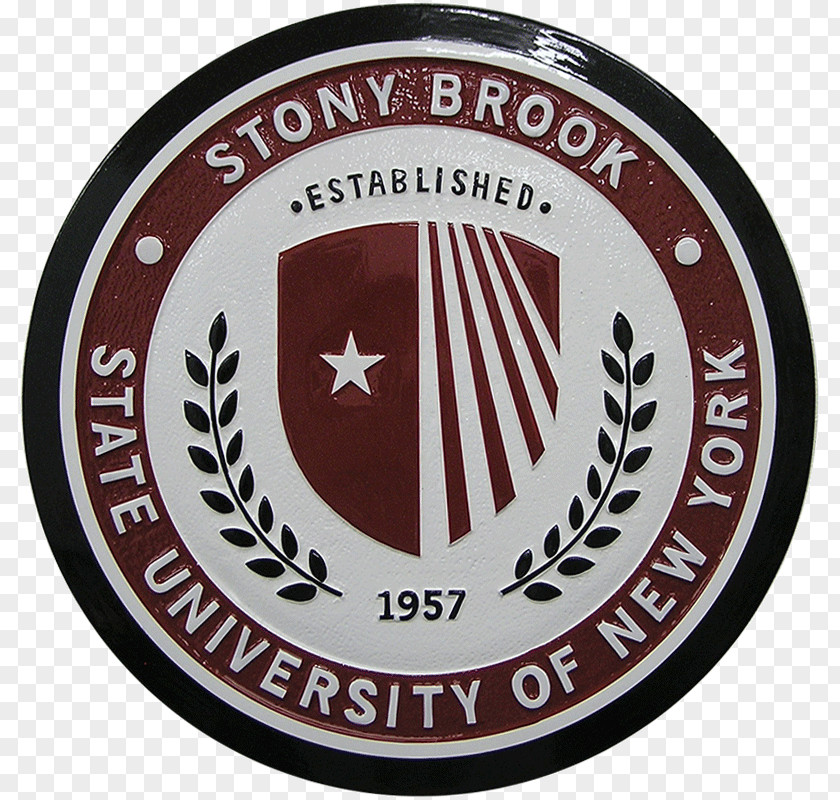 School Stony Brook University Colgate College Northeastern PNG