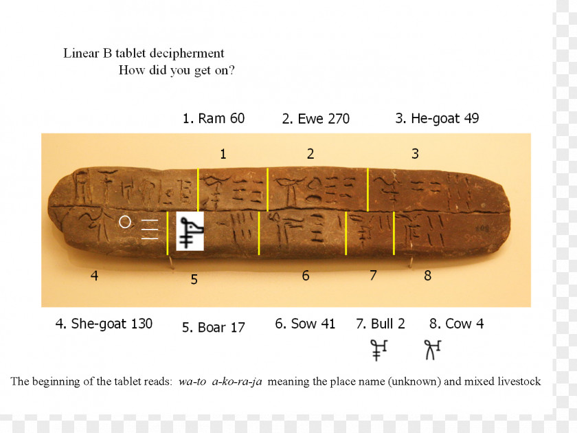 Wood /m/083vt PNG