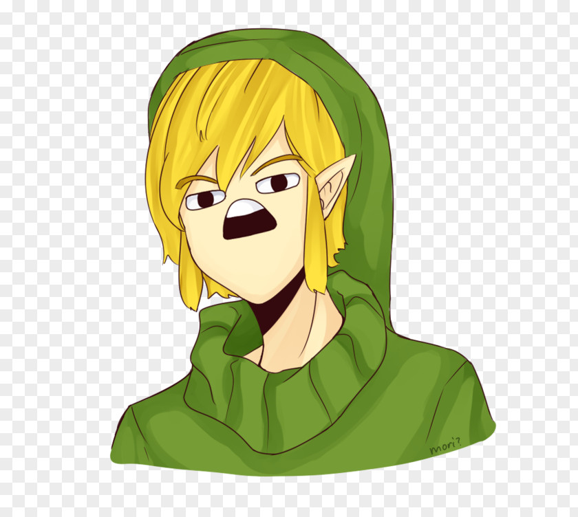 Zelda II: The Adventure Of Link Legend Zelda: Twilight Princess HD Breath Wild Lonk PNG