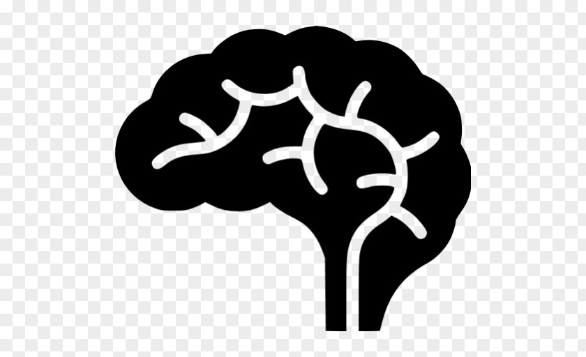 Brain Human Brainstem Spinal Cord PNG