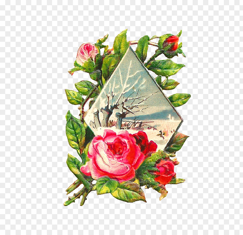 Graphics Of Roses Winter Flower Rose Clip Art PNG