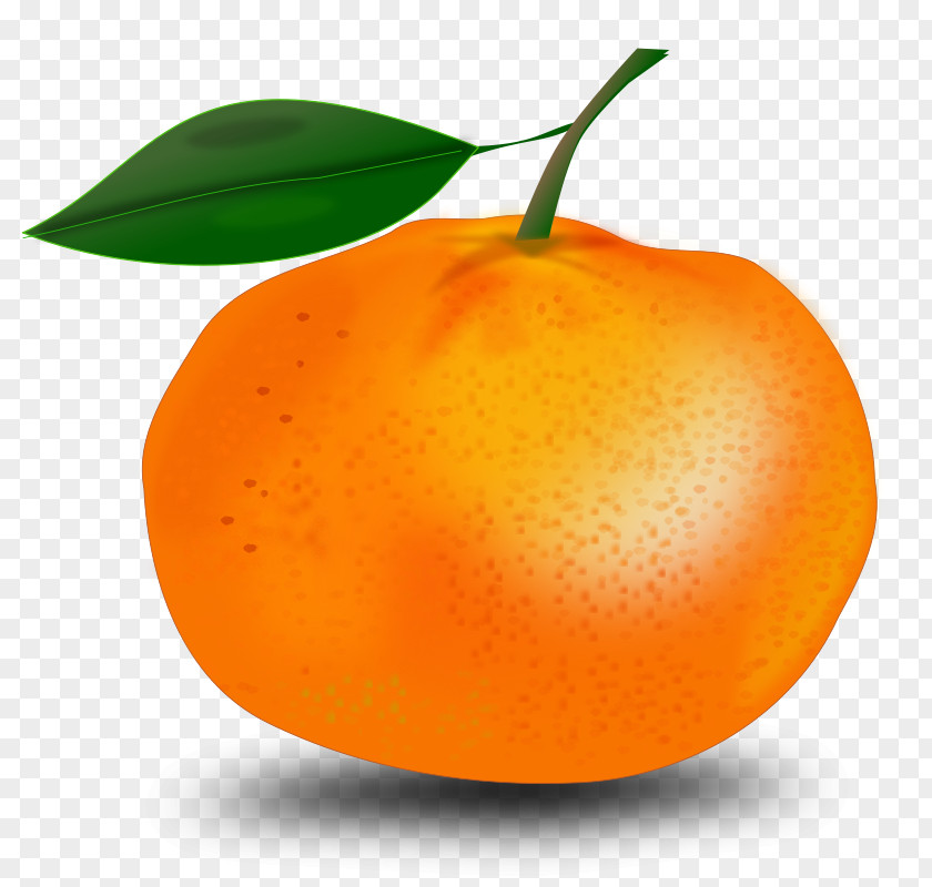 Juice Orange Clip Art PNG