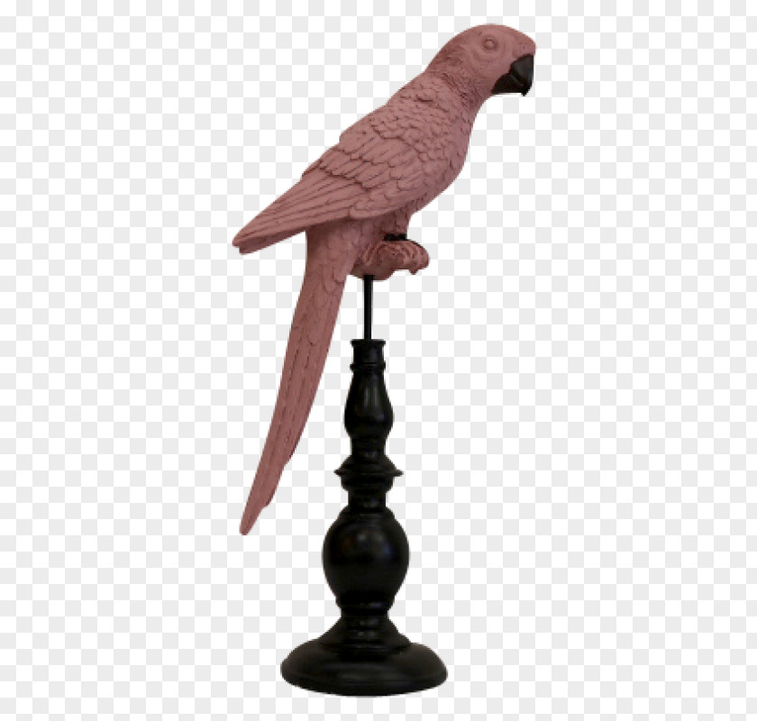 Pink Parrot Sculpture Beak Figurine PNG