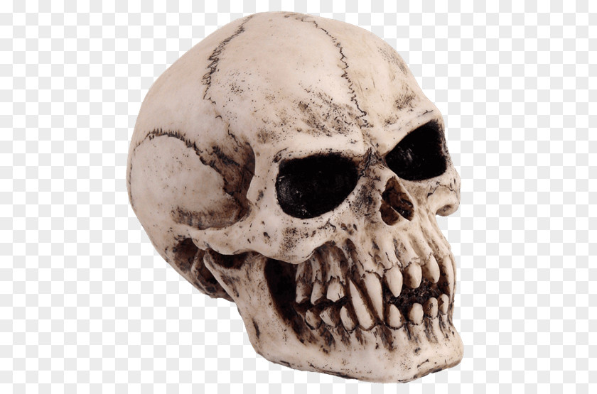 Vampire Skull Totenkopf Goth Subculture Skeleton PNG