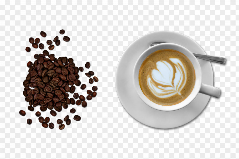 Cafe Coffee Espresso Latte Cappuccino PNG