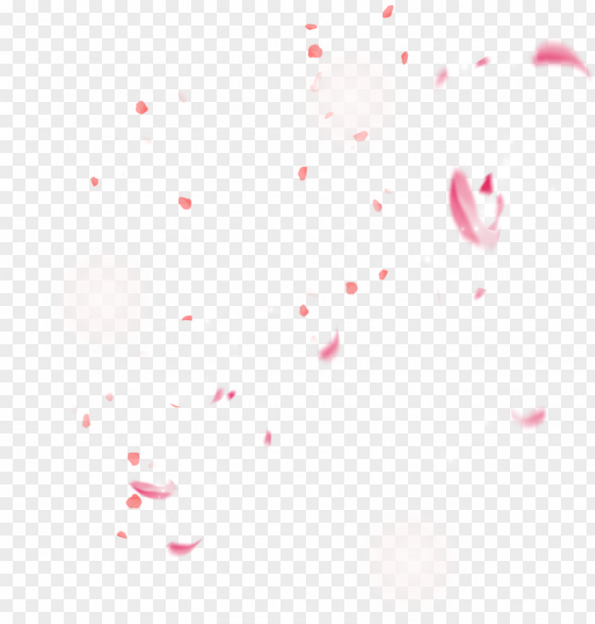 Cherry Blossom Petal PNG