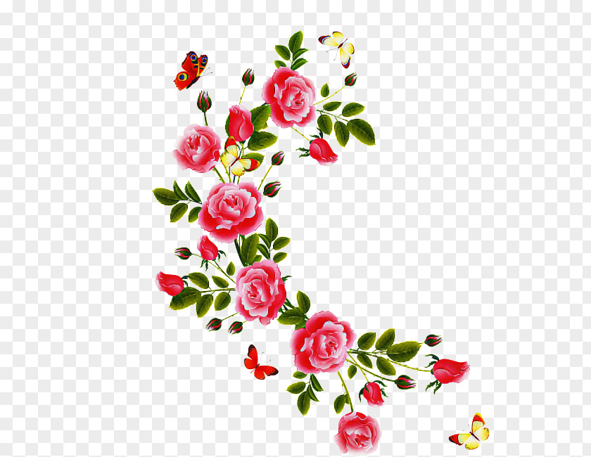 Floral Design PNG