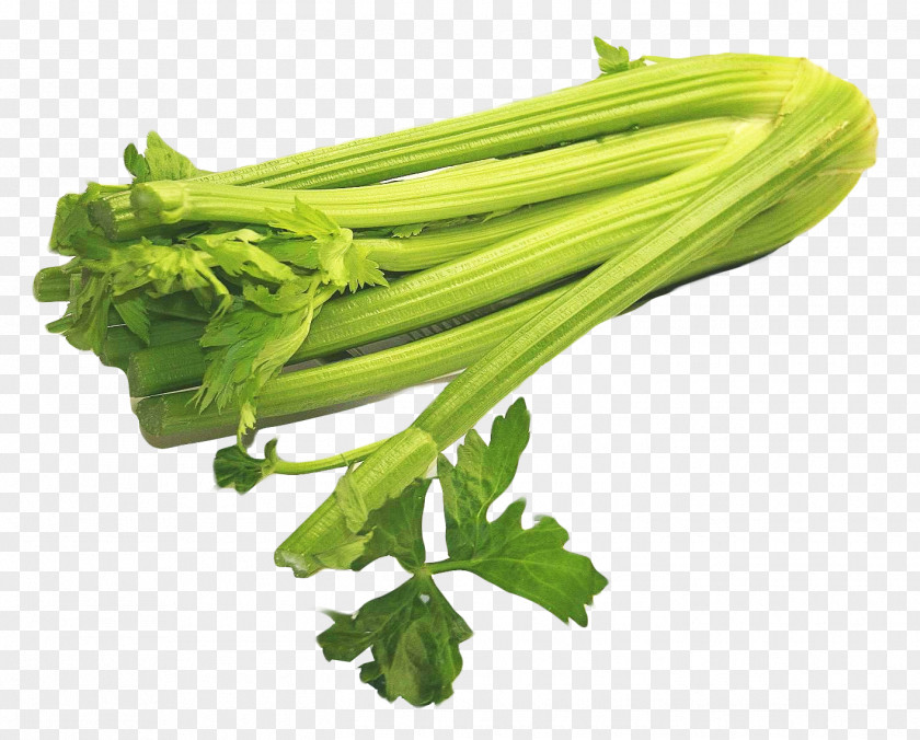 Celery Napa Cabbage Vegetable Ribollita PNG