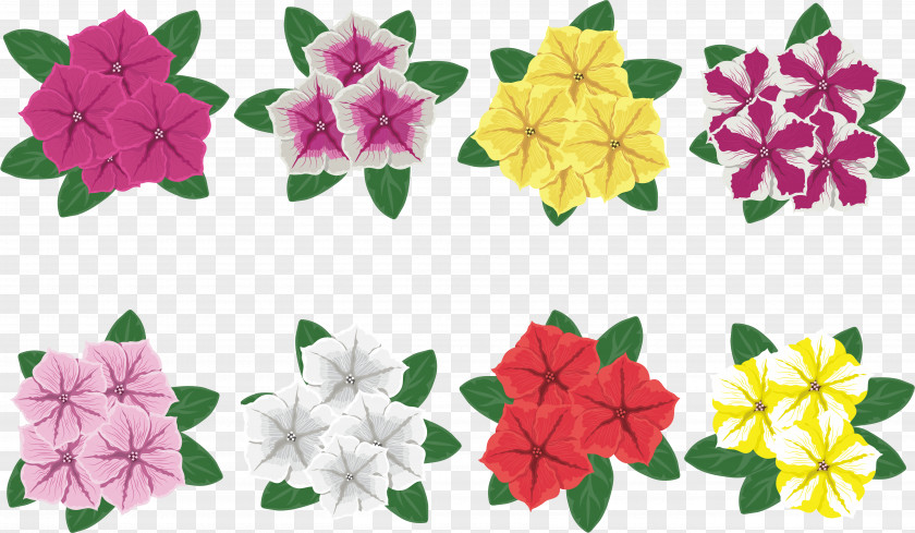 Colorful Flowers PNG