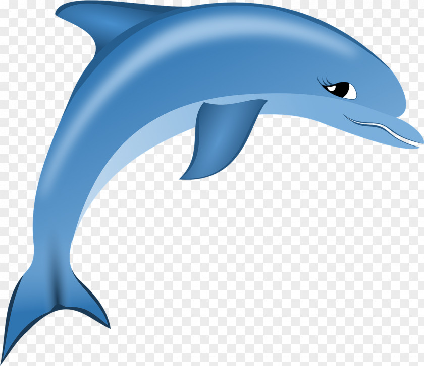 Dolphin Alhambra Child PNG