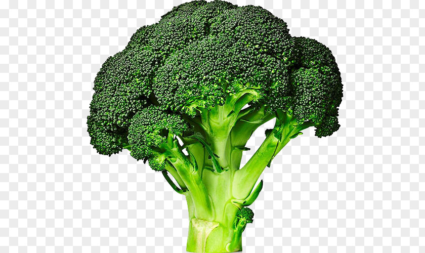 Green Vegetables Broccolini Cabbage Vegetable Broccoli Sprouts PNG