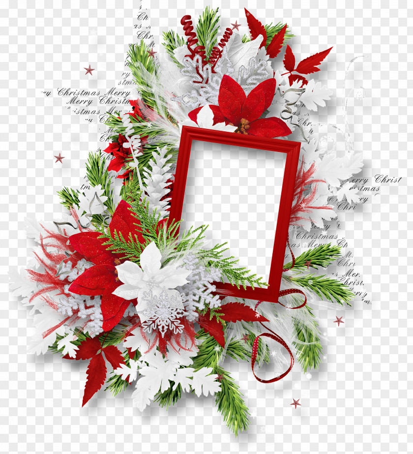 Poinsettia Flower Arranging Christmas And New Year Background PNG