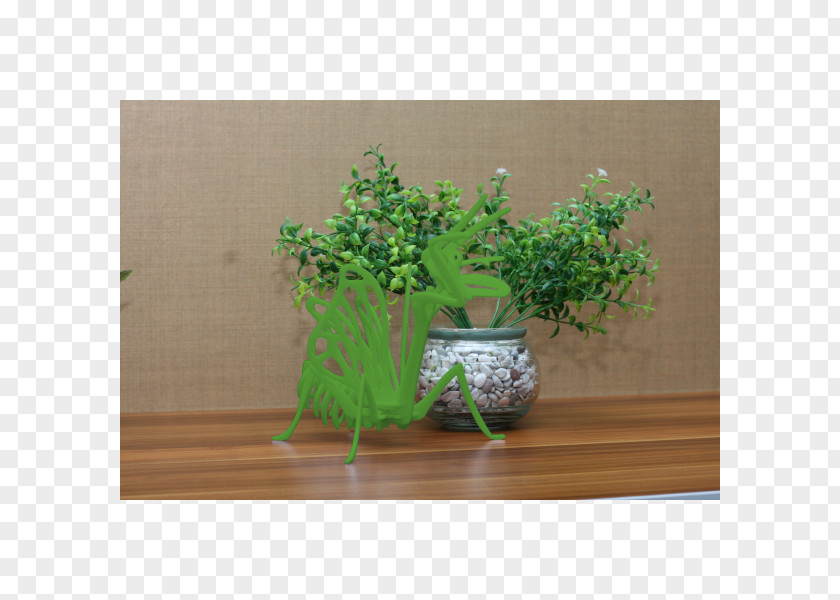 Praying Mantis Houseplant Flowerpot Herb PNG