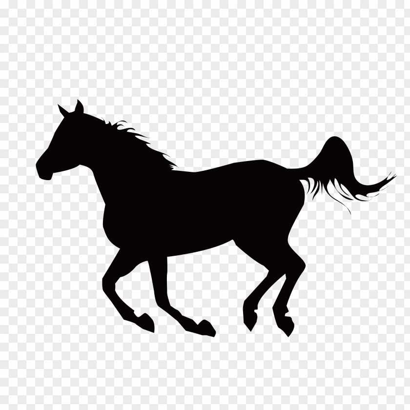 Running Horse Mustang Stallion Equestrianism Clip Art PNG