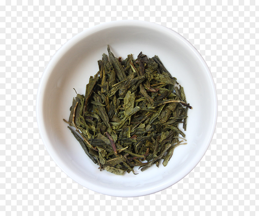 Sencha Green Tea Hōjicha Plant Nilgiri White PNG