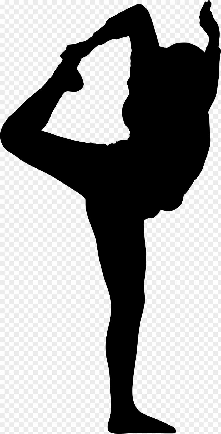 Silhouette Stretching Yoga Physical Exercise PNG
