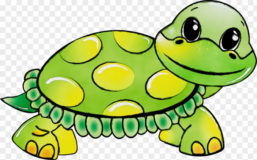 Tortoise Sea Turtles Reptiles Green Turtle PNG