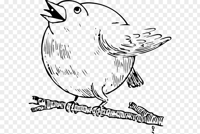 Tree-bird European Robin Clip Art PNG