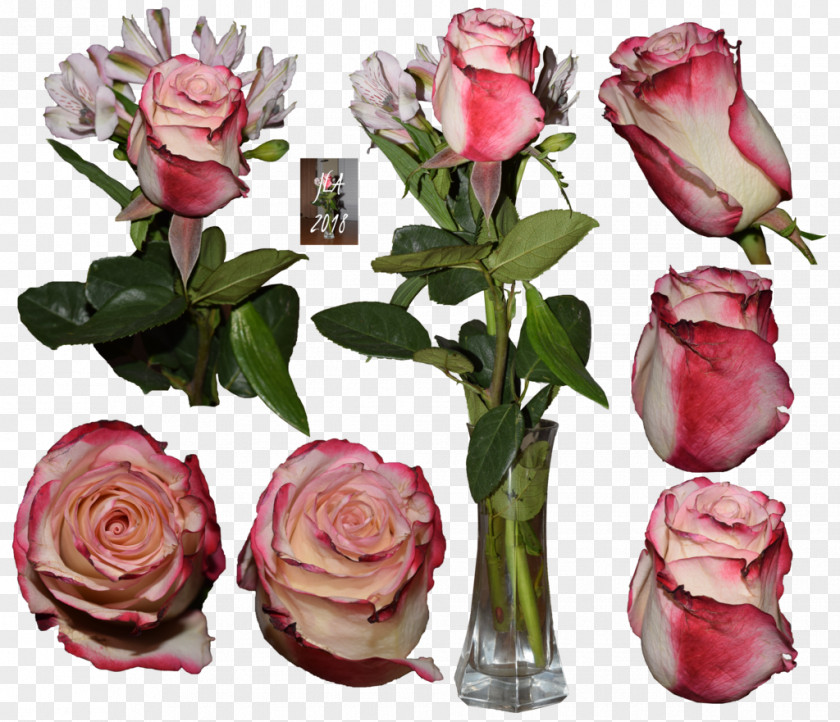 Birthday Flowers Cut Floral Design Garden Roses Art PNG