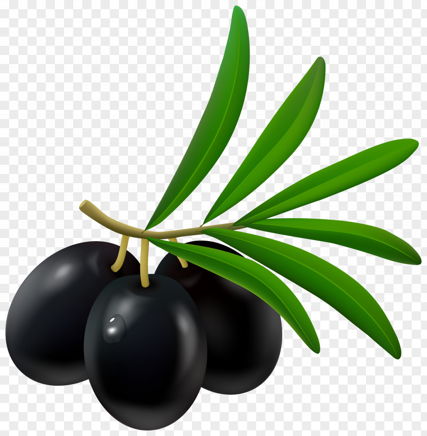 Black Olives Olive Greek Cuisine Clip Art PNG