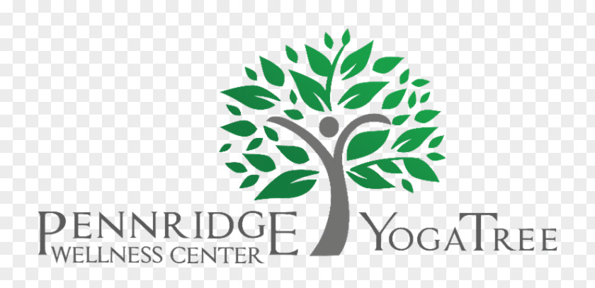 Cannadaddy's Wellness Center Dispensary Yoga Tree Pennridge 0 Health, Fitness And PNG