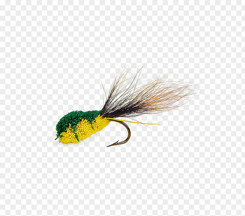 Fly Fishing Frog Lithobates Clamitans Insect Holly Flies Product PNG
