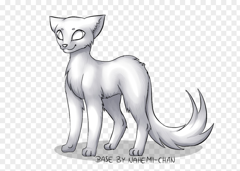 Kitten Whiskers Cat DeviantArt Sketch PNG