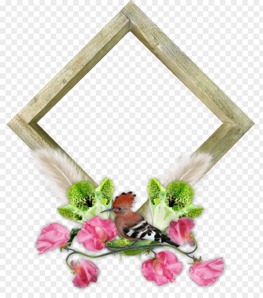 Pour Picture Frames PNG