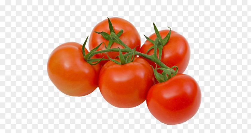 Tomato Paste Plum Bush Vegetable Food Roma PNG