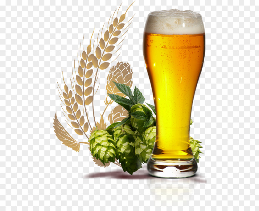 Beer Wheat India Pale Ale Glasses Style PNG