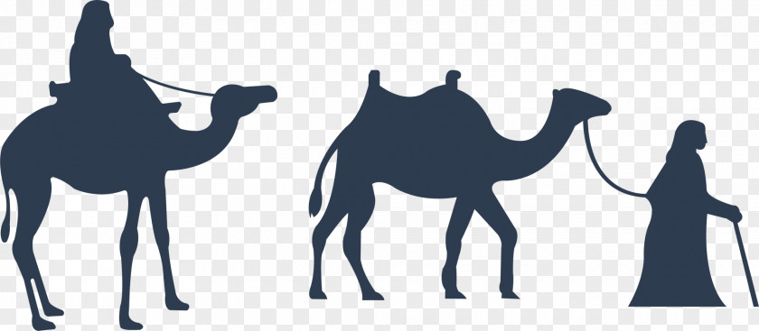 Blue Camel Bactrian Dromedary Drawing Illustration PNG