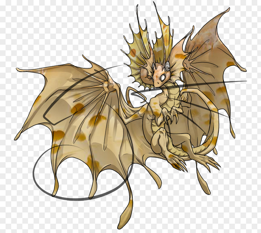 Dragon Fairy Thought Legend Person PNG