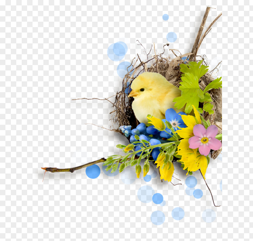 Easter Bird Clip Art PNG