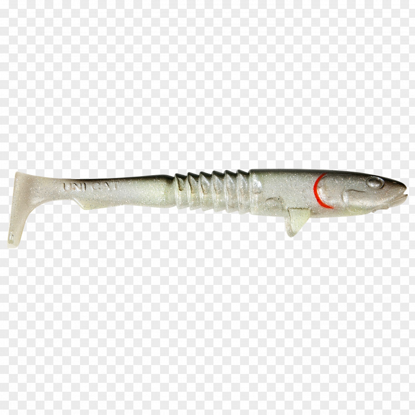 Fish Northern Pike Predatory Wels Catfish Fishing Bait PNG